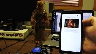Internet of Wookies
