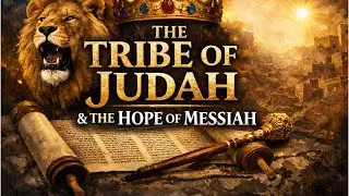 Talmid Bible Study: Messiah, The Tribe of Judah