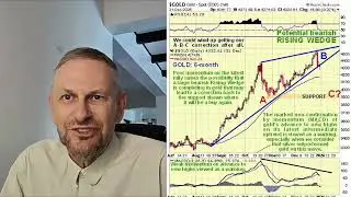 PRECIOUS METALS SECTOR INTERMEDIATE REVERSAL ALERT...