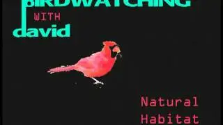 Birdwatching with David - Natural Habitat