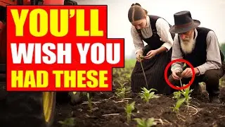 15 Amish Survival Items *EVERY* Person Needs BEFORE The Collapse