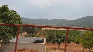 NOHUTALAN