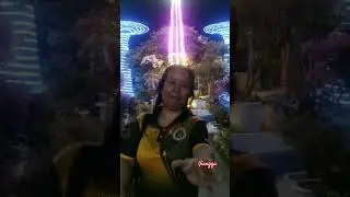 El Cielo Bayombong #Singaporegardenbythebayinspired #flowergarden #FlowerEnthusiasts