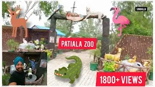 🐊🦌PATIALA ZOO🦩🦤 | 😍ਚਿੜੀਆਘਰ | chidiaghar🦜🦢 singh llb #vlog16 #zoo #patialazoo #deerpark  #chidiaghar