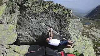 Homo mouse, 7c. Gottardo