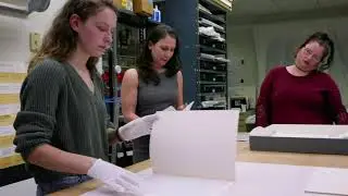The Sweet Briar Collection: Interaction of Color by Josef Albers