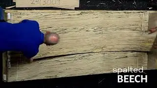 Spalted Beech wood veneer