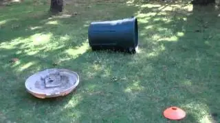 How to catch a salamander