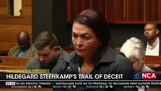 Hildegard Steenkamp's trail of deceit