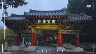 양산 통도사 (산문의 빛, 마음의 정원에서 인연을 만나다) 국가유산 미디어아트 🇰🇷[경남 양산여행] 구독과 좋아요 부탁드립니다. 감사합니다.