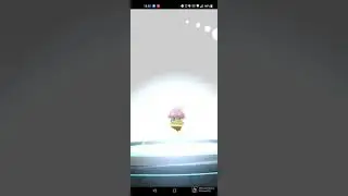 Shiny Inkay Evolving into Shiny Malamar #pokemon #pokemongo #PoGo #shinypokemon #Inkay #Shinyinkay
