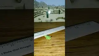 Kermit the Frog gets abused with a ruler in slow motion in Minecraft desert by LeBron James!!