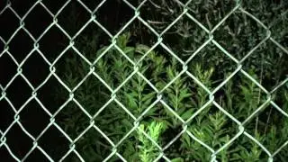 Mom - Tiny Fantasy (Official Music Video)