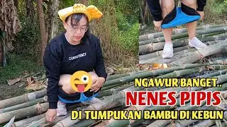 Pas jogging.. Di kebun.. Nenes malah pipis di tumpukan Bambu..⁉️🤣🤣 