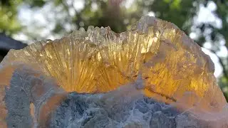 2 Million Year Old Fossil Clams I Found FILLED with HONEY CALCITE! (Hunting Video Coming Soon)