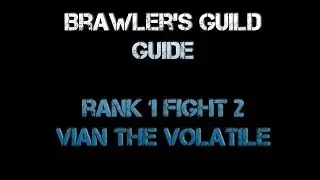 Vian the Volatile Brawlers Guild Rank 1 Fight 2 Guide