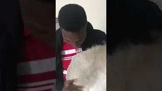 Animal skin rug