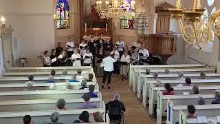 Du danske sommer jeg elsker dig - Nordjysk Vokal Ensemble