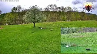 Breakfast!! Let's Go!   Deer Birds Turkey with Beautiful Apple Tree and Mountain View Animal