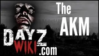 DayZ Wiki - Weapon: AKM