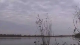 Duck Hunting 2008
