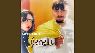 A gemella