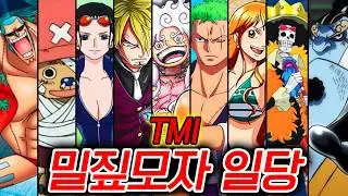 Interesting Facts About the Straw Hat Pirates (TMI and Recent Updates)