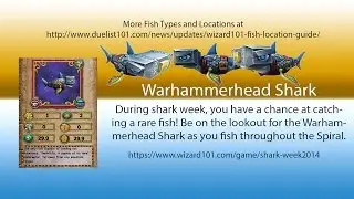 Wizard101 Warhammerhead Shark