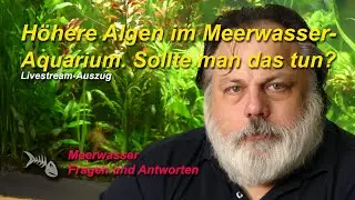 Warum sollte man keine h&ouml;heren Algen ins Meerwasser-Aquarium setzen?