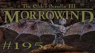 The Elder Scrolls III: Morrowind #195 - Wo ist der Ort? | SoydonuemLP
