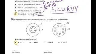 5090 BIOLOGY MCQ NOV 2020 PAPER 12