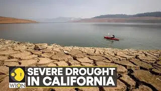 WION Climate Tracker | 'Water police' patrol drought-hit Los Angeles streets | WION