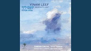 Intermezzi for Flute, Clarinet, Bassoon, Violin, Viola, Cello, and Piano: II. Transparente
