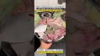 Get Fresh & Clean Seafood 🦞 At Your Door - step | Free Home Delivery In Thane | #shorts  #seafood