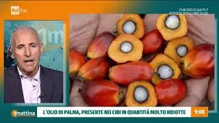 Olio di palma: Prof. S. Banni (Univ. di Cagliari) e Prof. A. Villani (Osp. Bambino Ges&ugrave;)