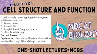 Chapter 04 MDCAT Biology One Shot | Cell Structure and Function Full Chapter, MDCAT 2025 Preparation