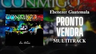 Pronto Vendra &ndash; Multitrack de Alabanza (150 BPM) | Stems + Click | Ebenezer Guatemala