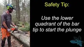 Chainsaw basics: Bucking logs with plunge cut technique (Instructional video)