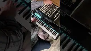 Vermona PERfourMER MKII | Novation 61SL MkIII #synth #synthesizer #synthpop #synthwave #midi