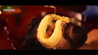 Ayurvedic Treatment For Eyes | Netra Tharpanam | Rasayana Ayurveda Center Kochi, Kerala