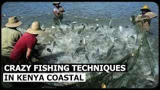Unbelievable FISHING TECHNIQUE In Kenya Coastal, Watamu Beach I Discoveries TV