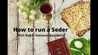 Preparation for the Seder 3