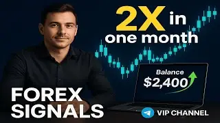 2.4X Profit in one month &ndash; Copy my Forex signal strategy