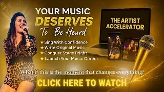 The Artist Accelerator Program