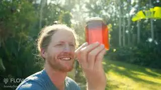 Meet the Flow Hive Hybrid- Honey on Tap & Fresh Honeycomb