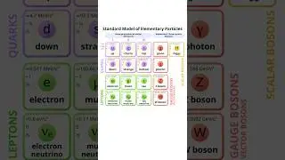 what is the standard model of particle physics? #physics #quantumphysics #particlephysics #science