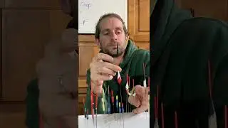 P&ecirc;che en Rivi&egrave;re: &Eacute;quipement et Techniques Id&eacute;ales! #shorts