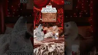 CAT MEMES 🐱 Valentine's Day with my boyfriend #catmemes #relatable #relationship
