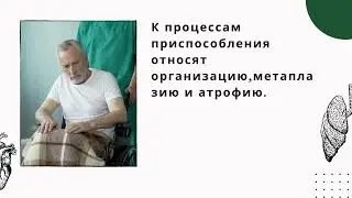 Компенсация и стадии компенсаторного процесса