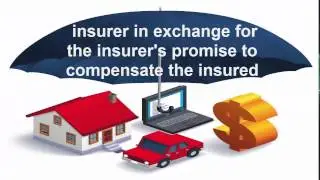 Compare Van Insurance